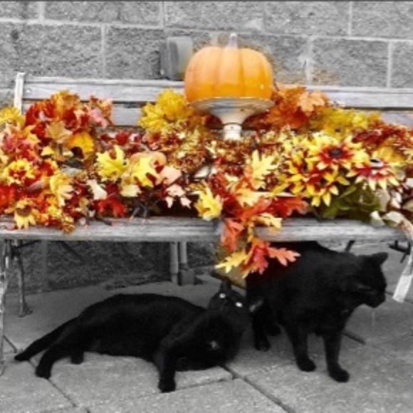 Meet your Posher, Becky - Picture 2 of 2